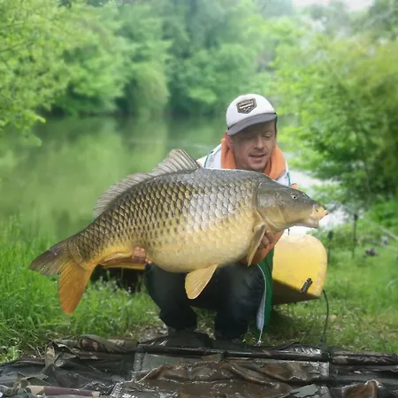 Luxury tent Tente De Trappeur Au Les Cournoulises 2 A 4 Personnes